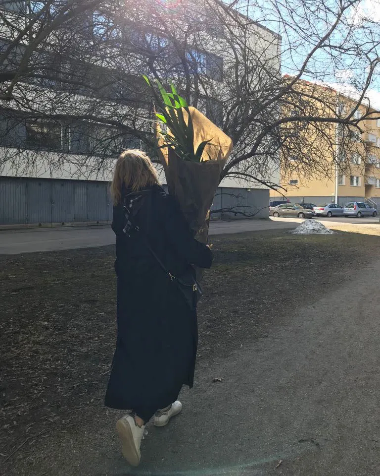 Carrying a plant through the city