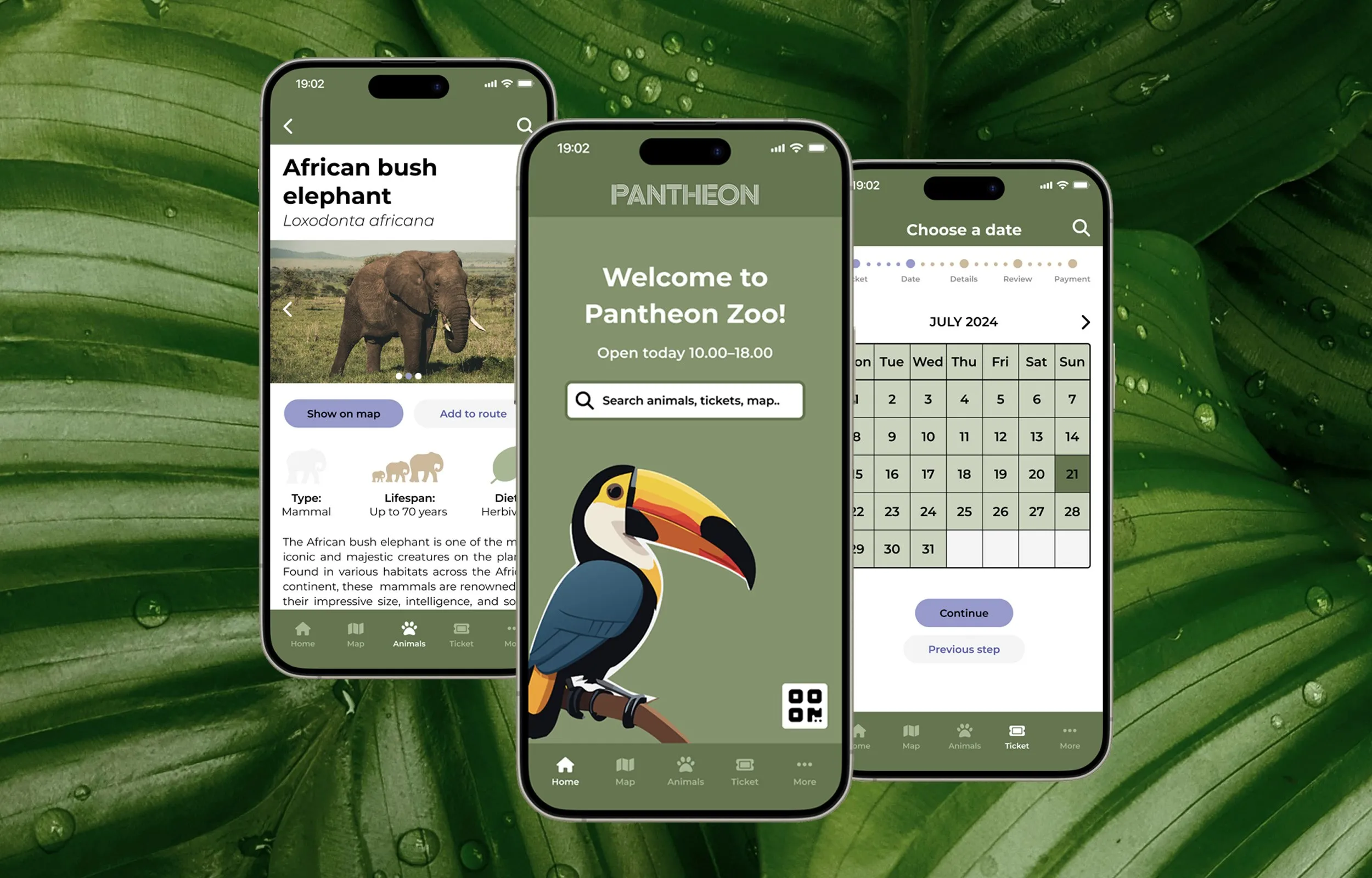 Three Zooplanner app screens on phones against a backdrop of tropical leaves